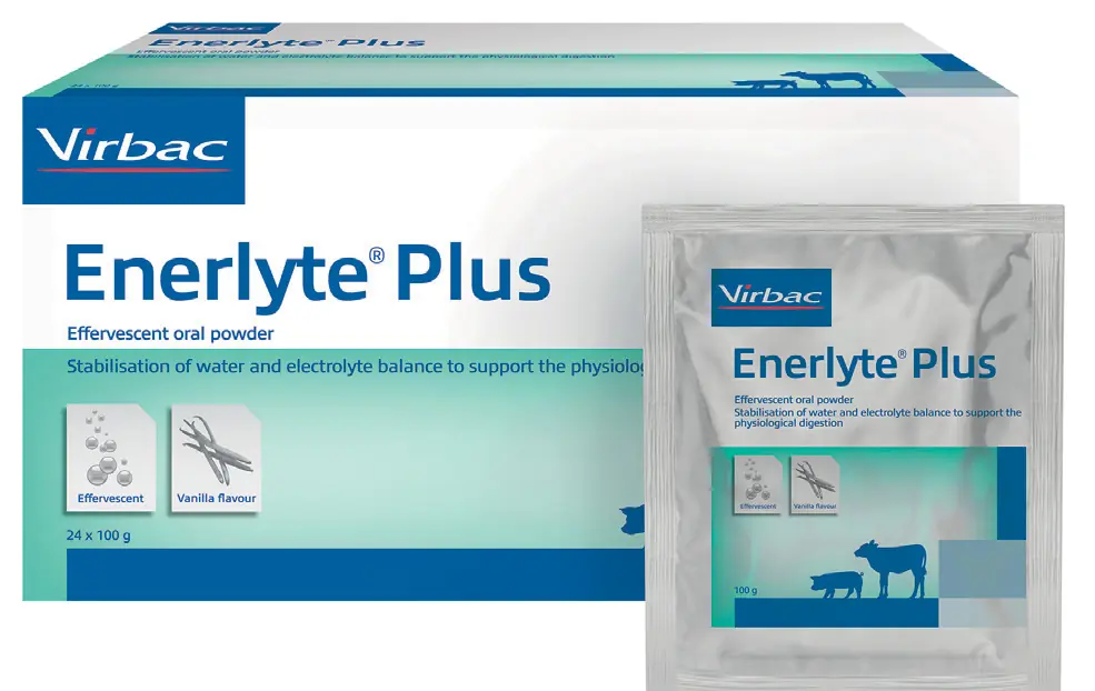 Enerlyte Plus
