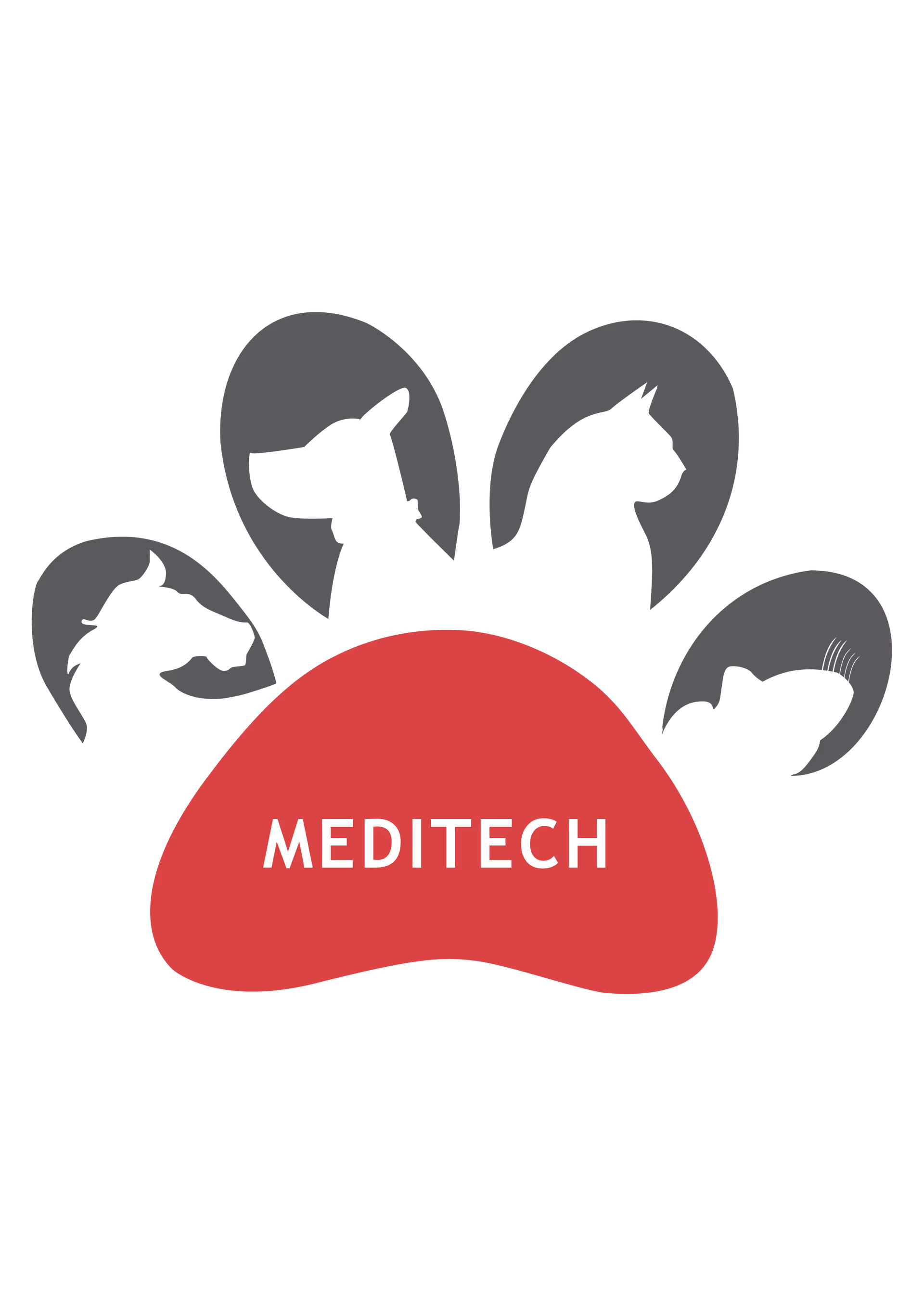 TT-TM300  logo