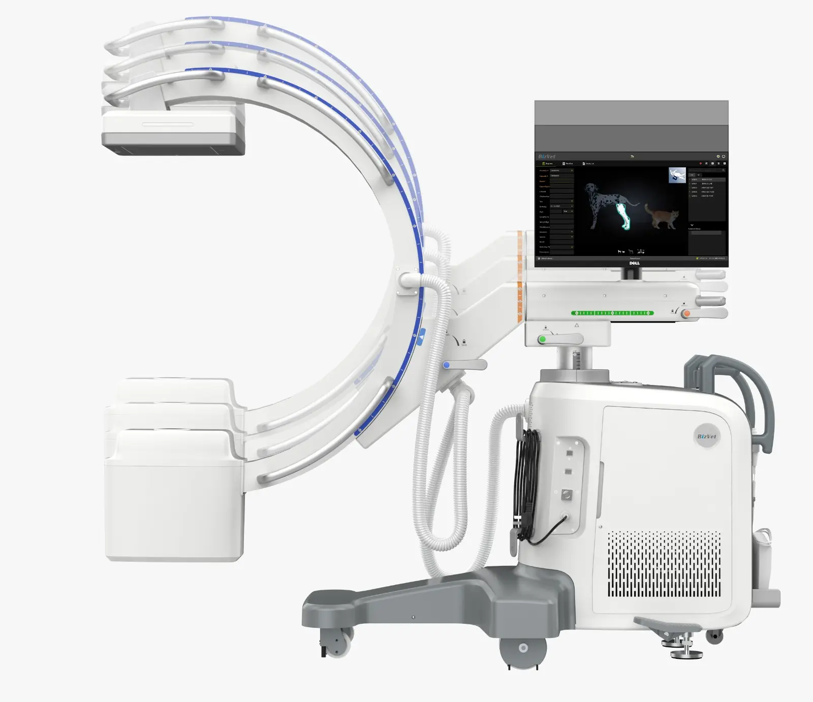 Yukarı ve aşağı translasyon