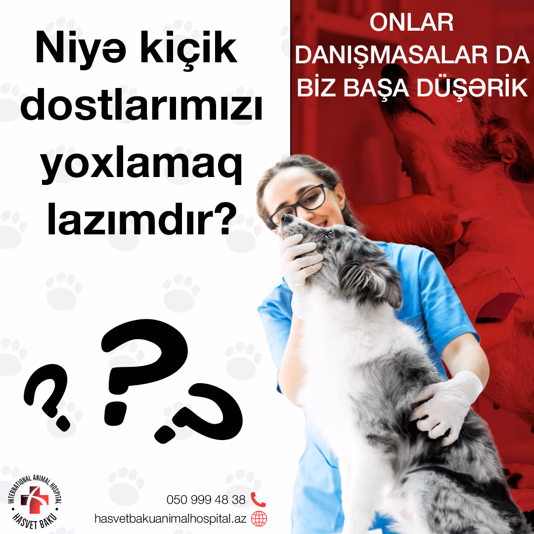 Niyə vaksin edilməliyik?