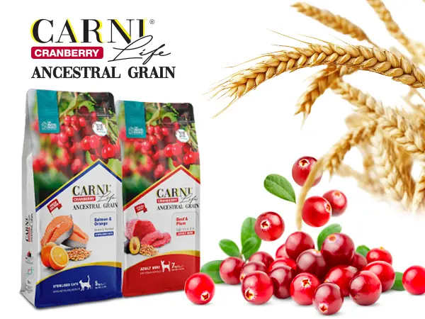 Carni Life Cranberry