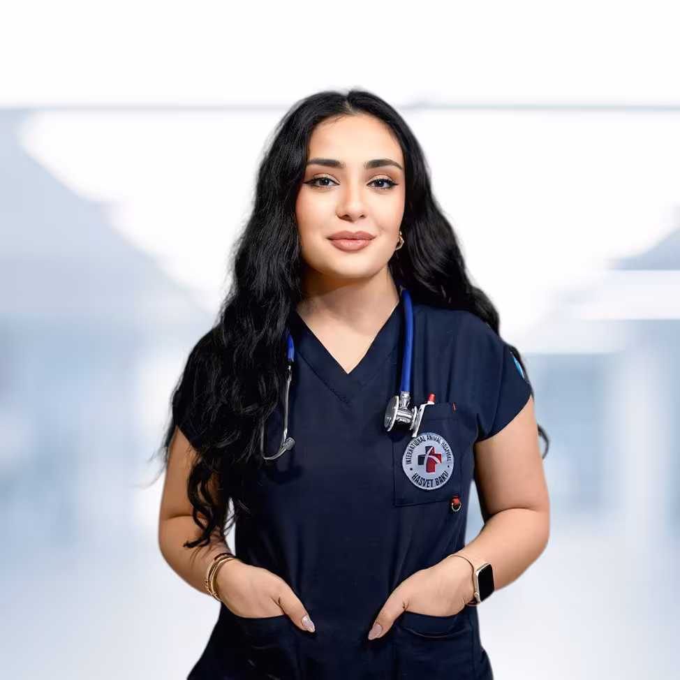 Humay Hüseyn