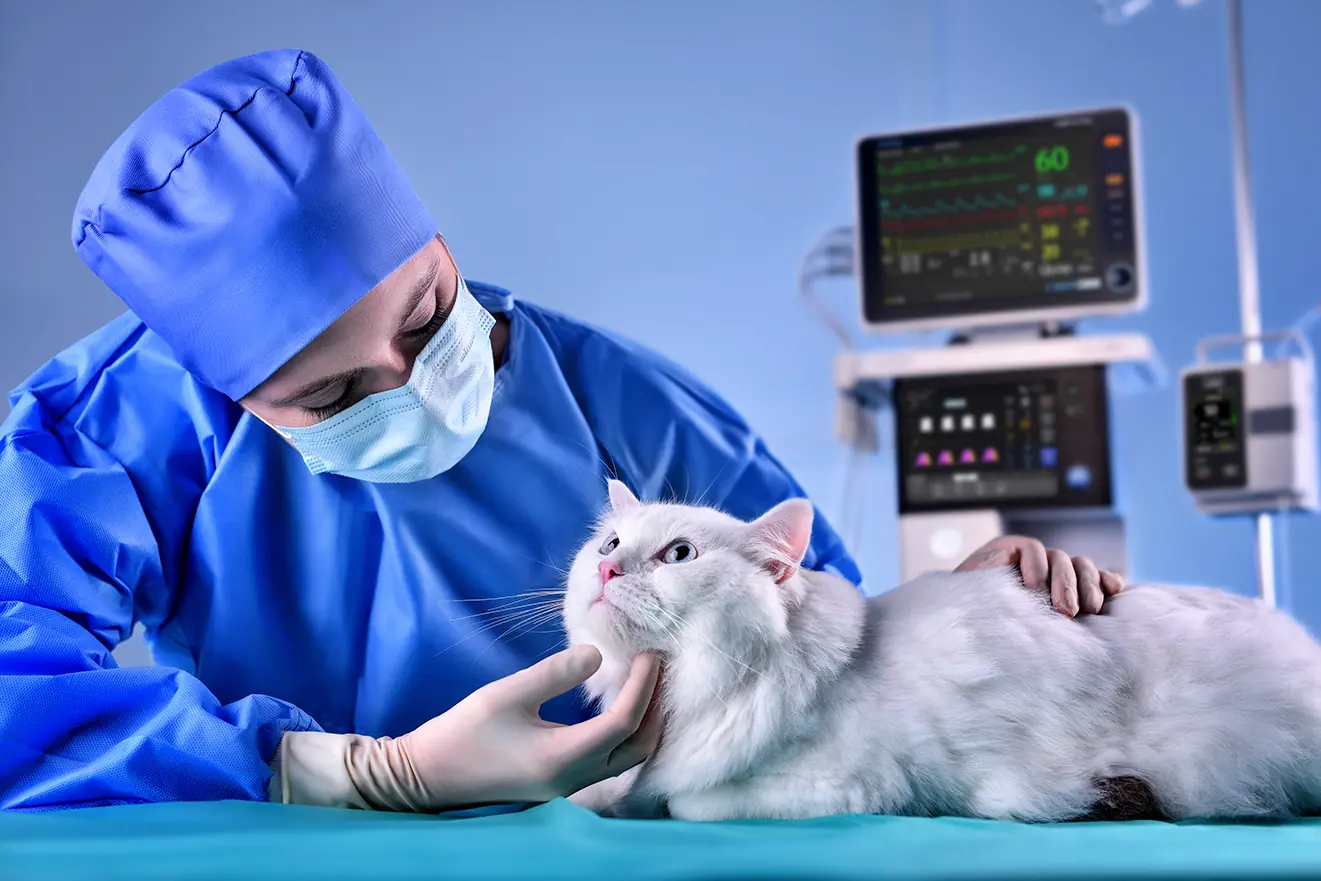 Aktif Güvenliğin Sağlanması