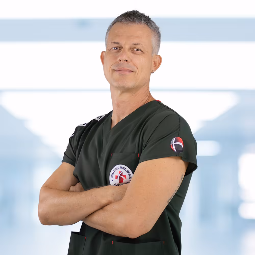 Haris Hašimbegović, DVM, Ph.D.