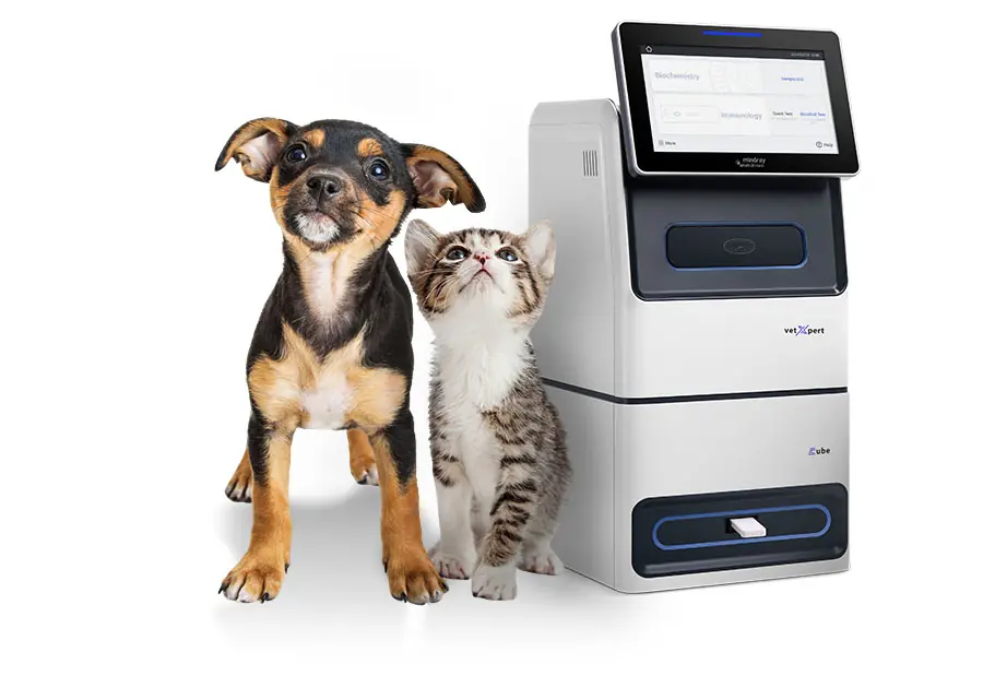 VetXpert Cube