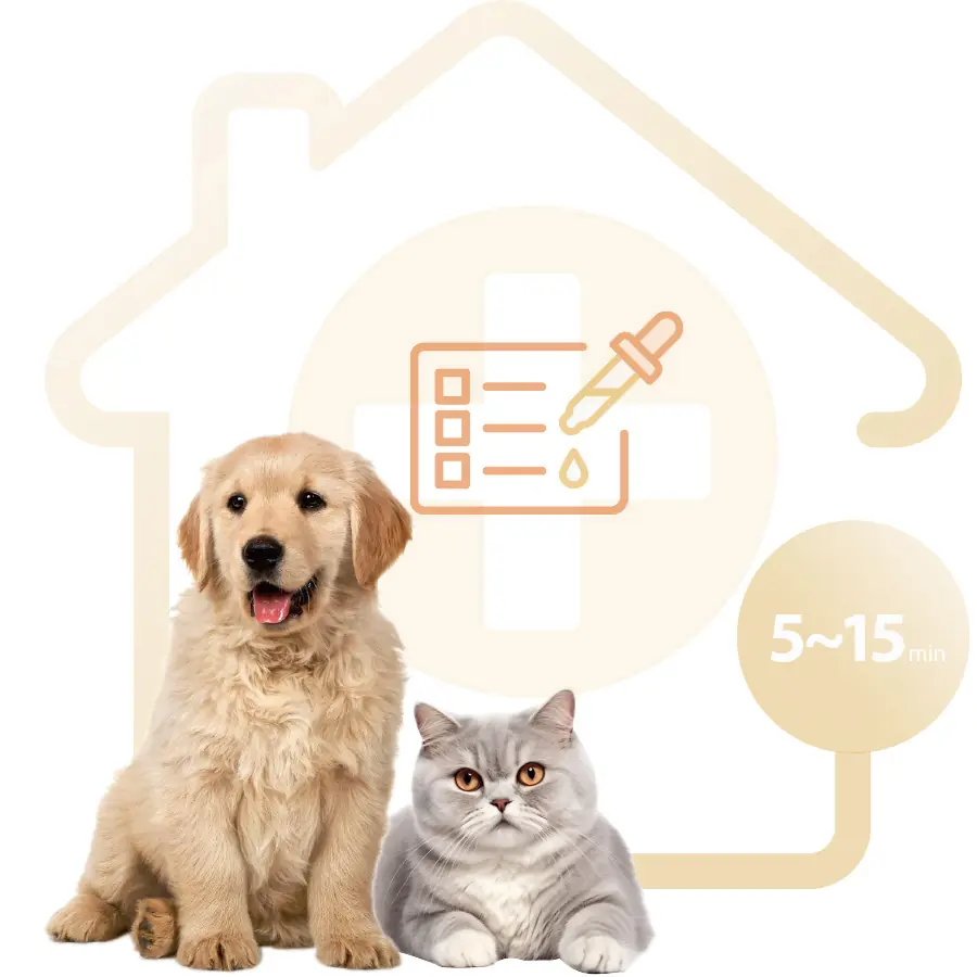 Tam Kapsamlı Immunoassay Testleri