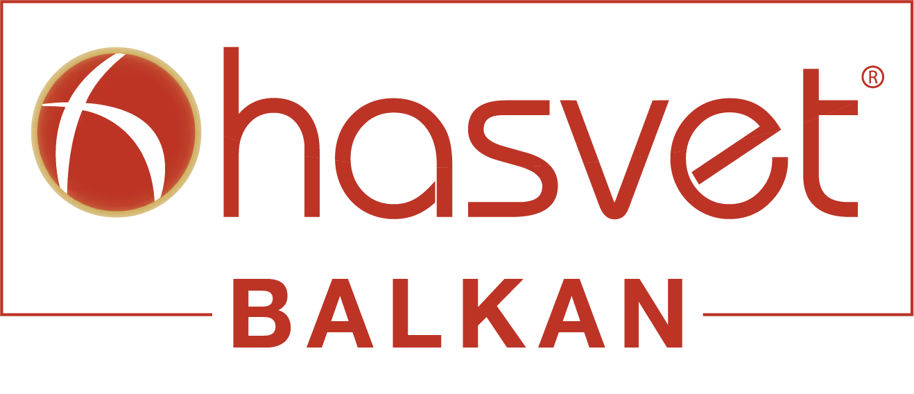 Global Şirketlerimiz