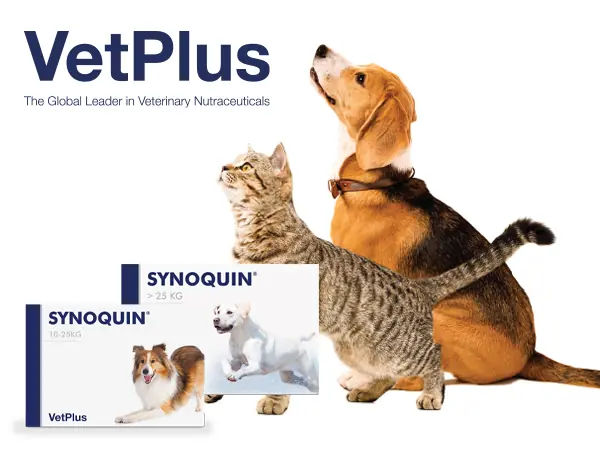 Vetplus