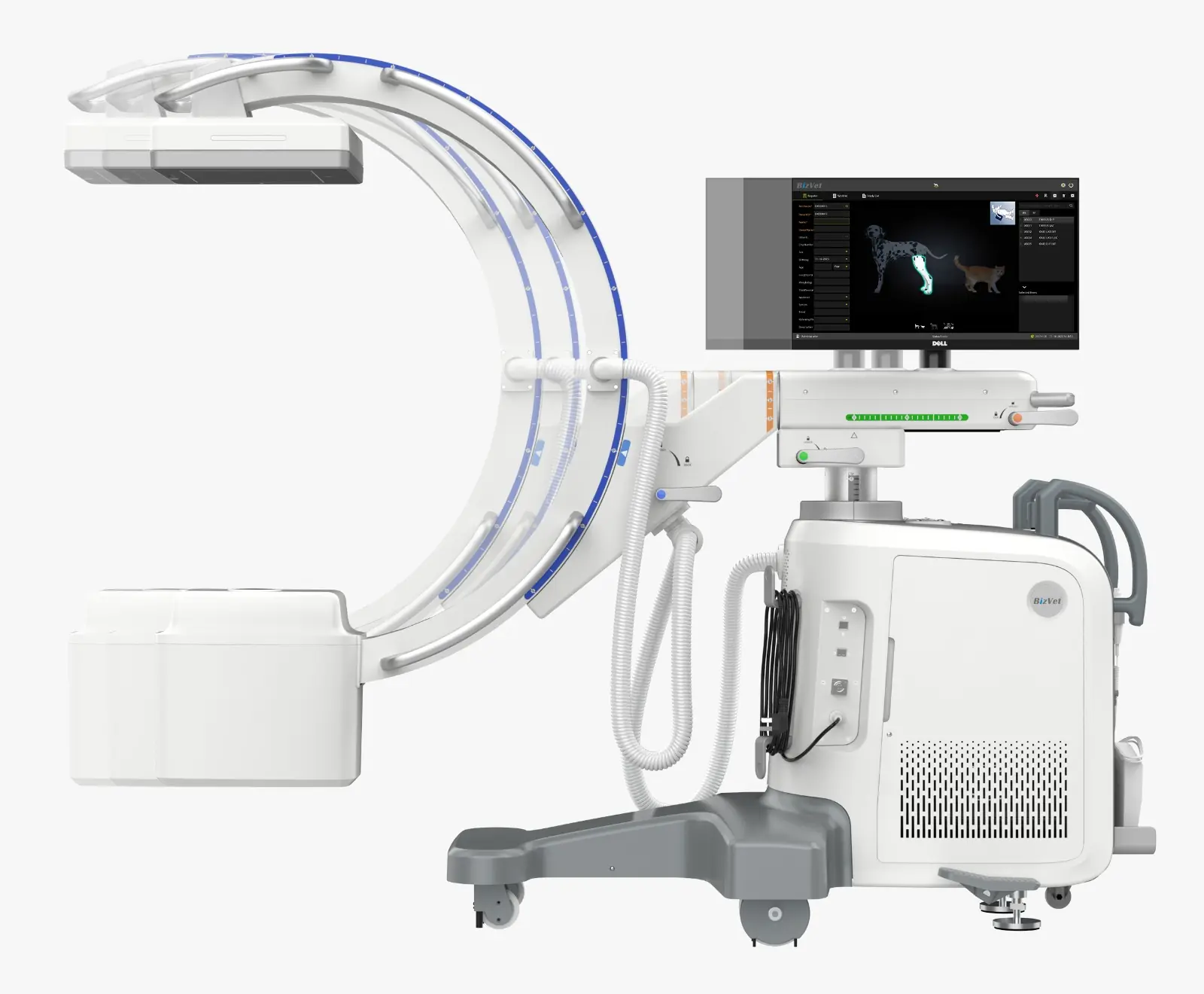 Anterior ve posterior translasyon