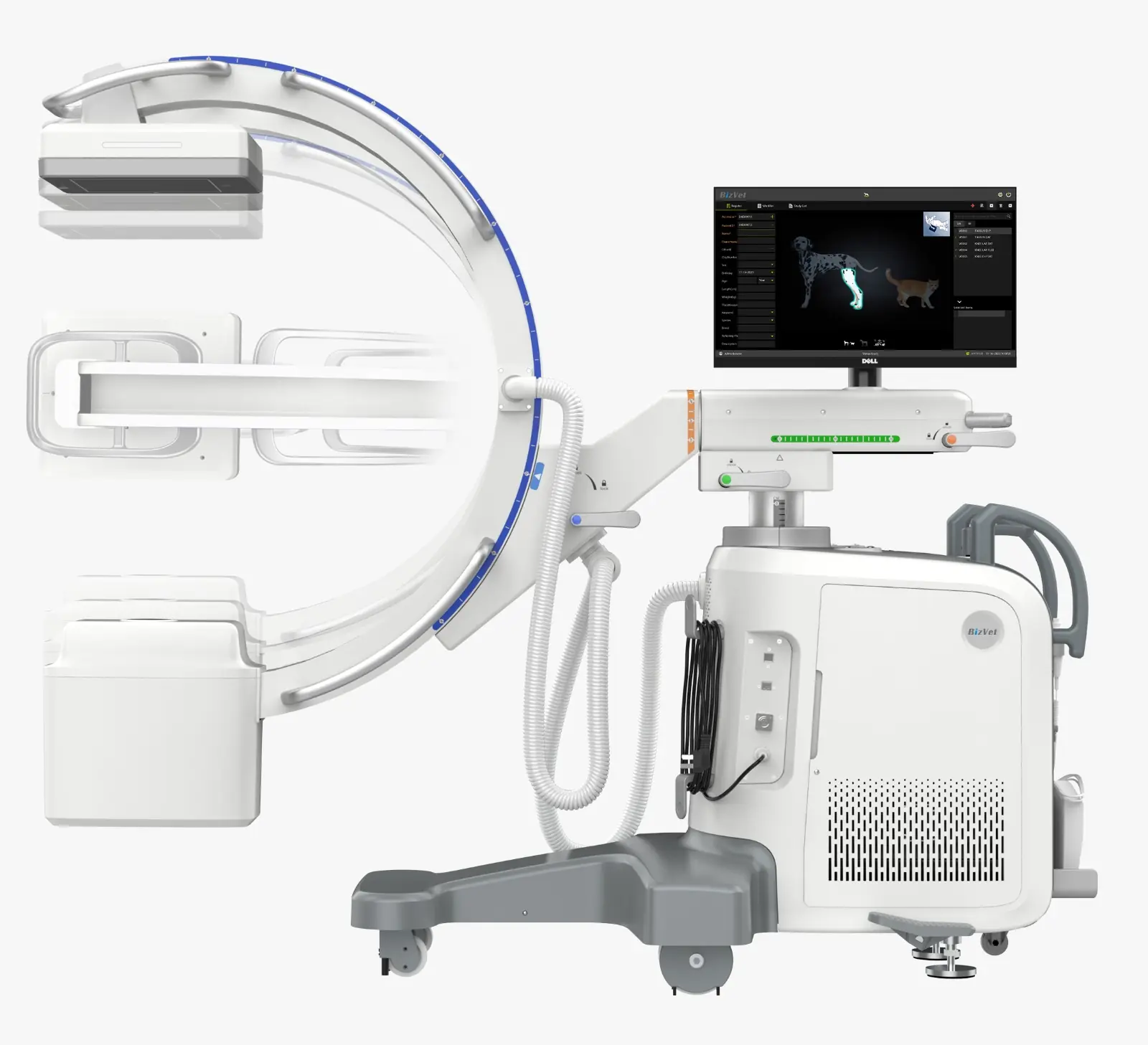 Longitudinal rotasyon