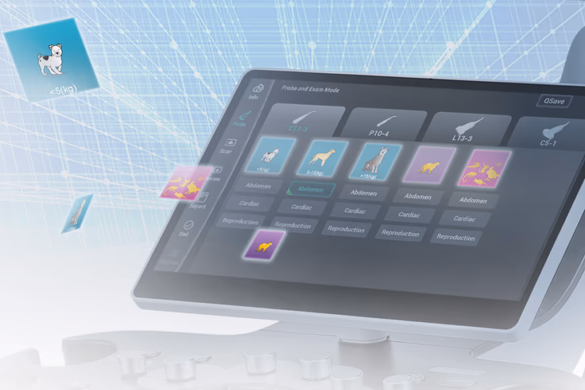 İnanılmaz Görüntülerin Tadını Çıkarın