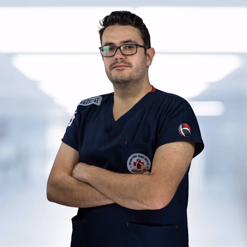 Faris Mujkanovic, DVM