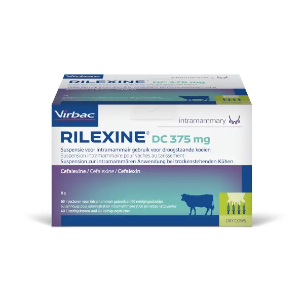 Rilexine DC 375mg