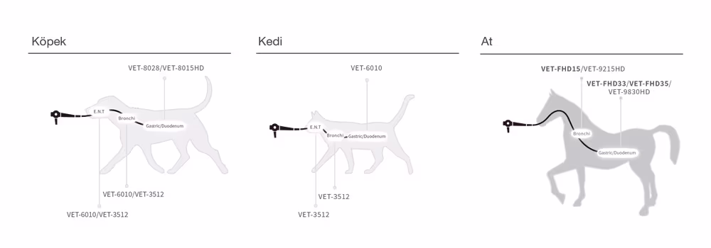 Full HD Esnek Video Endoskopi Sistemi