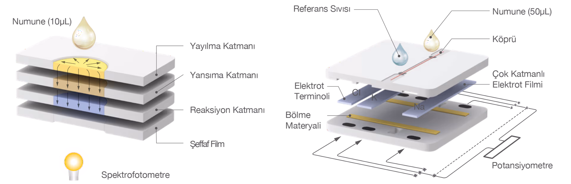 FUJIFILM'İN ÇOK KATMANLI SLAYT TEKNOLOJİSİ İLE GÜVENİLİR SONUÇLAR