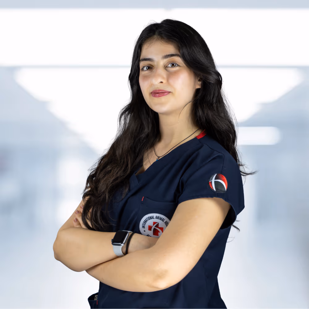 Aybüke Ceren Benli, DVM