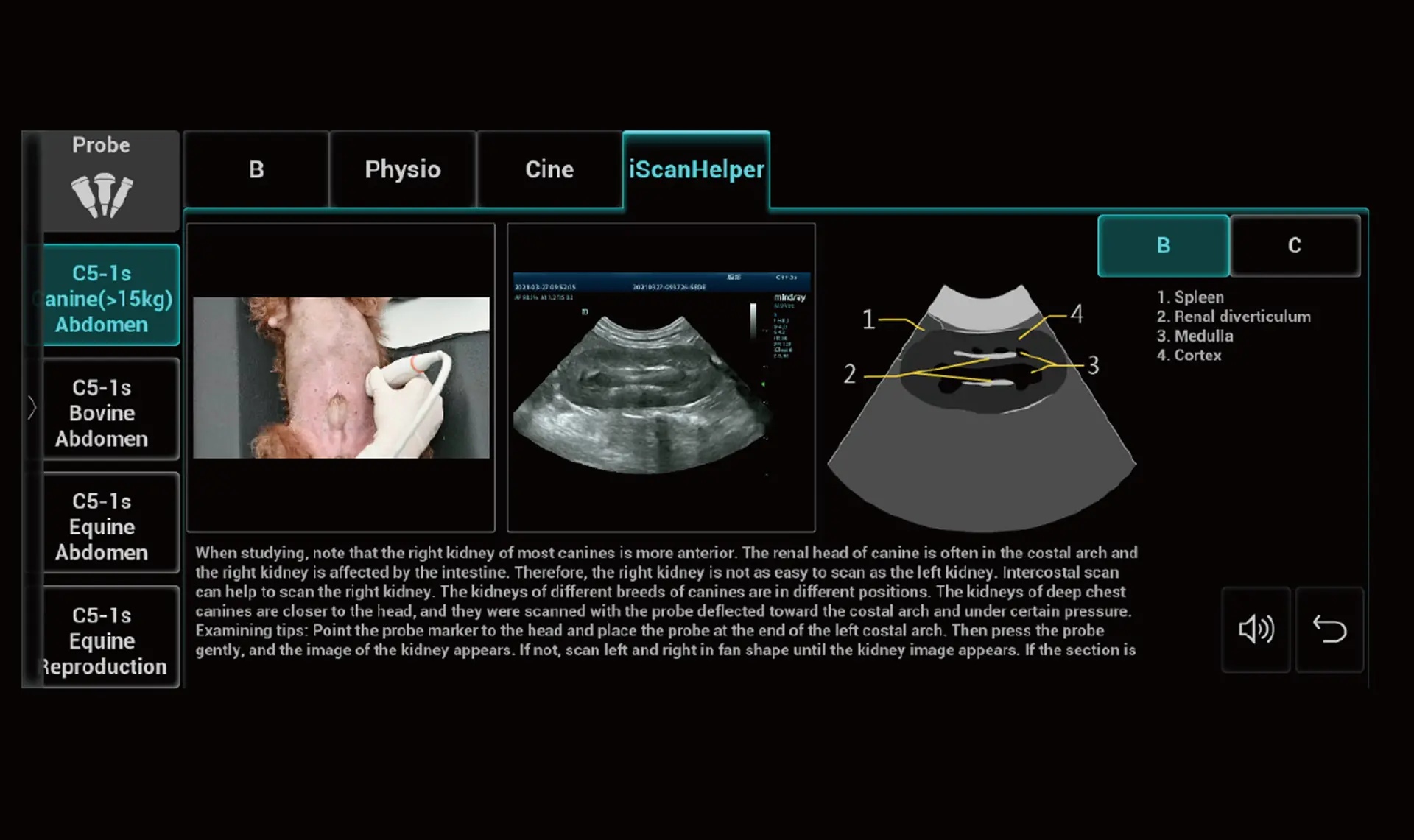 Organlara ait referans görüntüler, eğitim videoları ve kılavuzlar