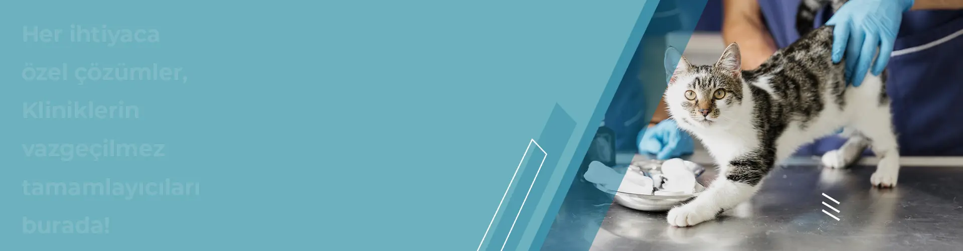 Klinik Ekipmanları Diğer Ürünler