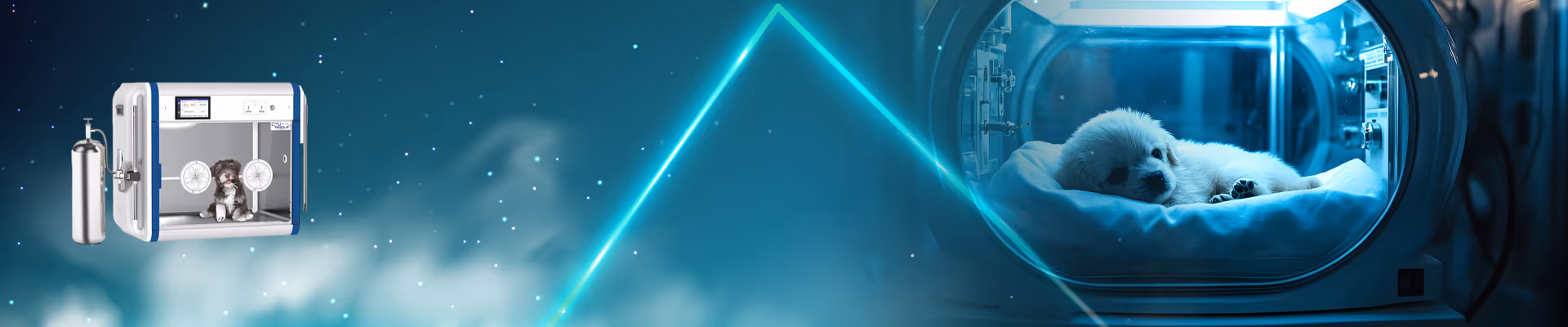 Yoğun Bakım Kabinleri