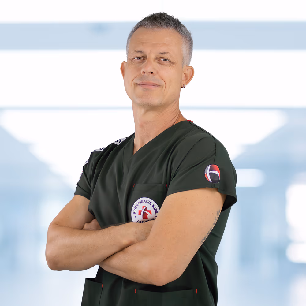 Dr. Haris Hašimbegović