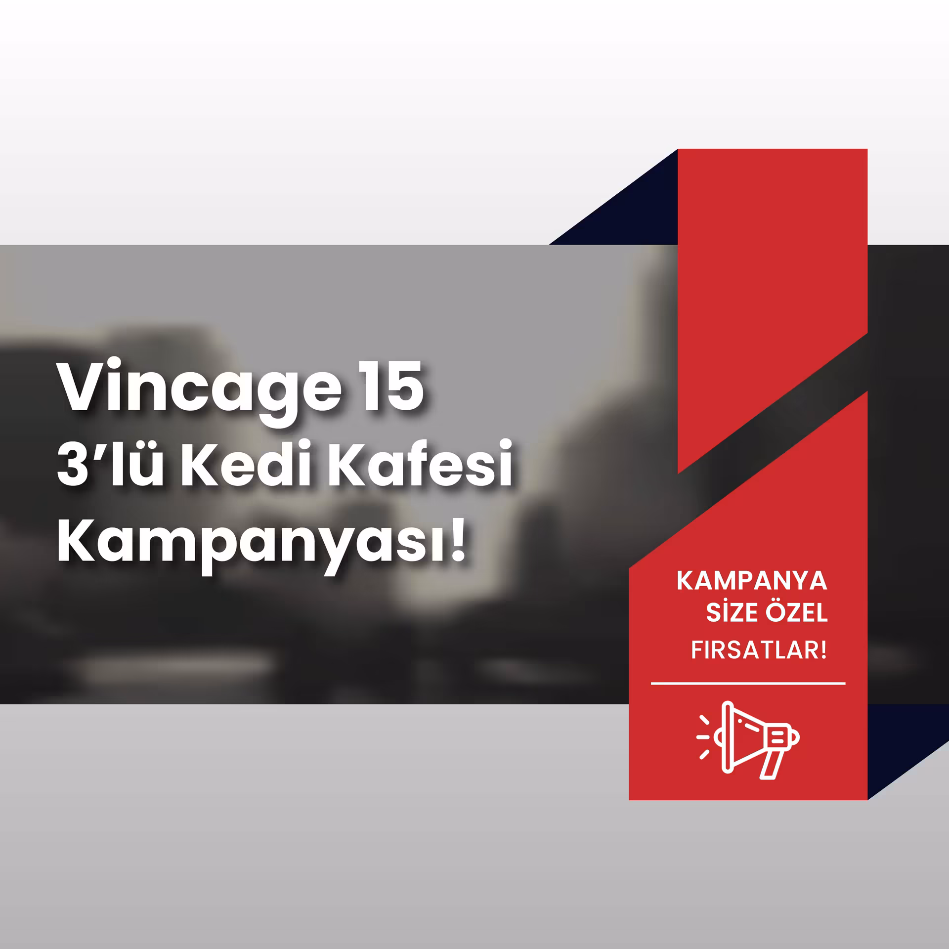 Vincage 15 | 3’lü Kedi Kafesi Kampanyası