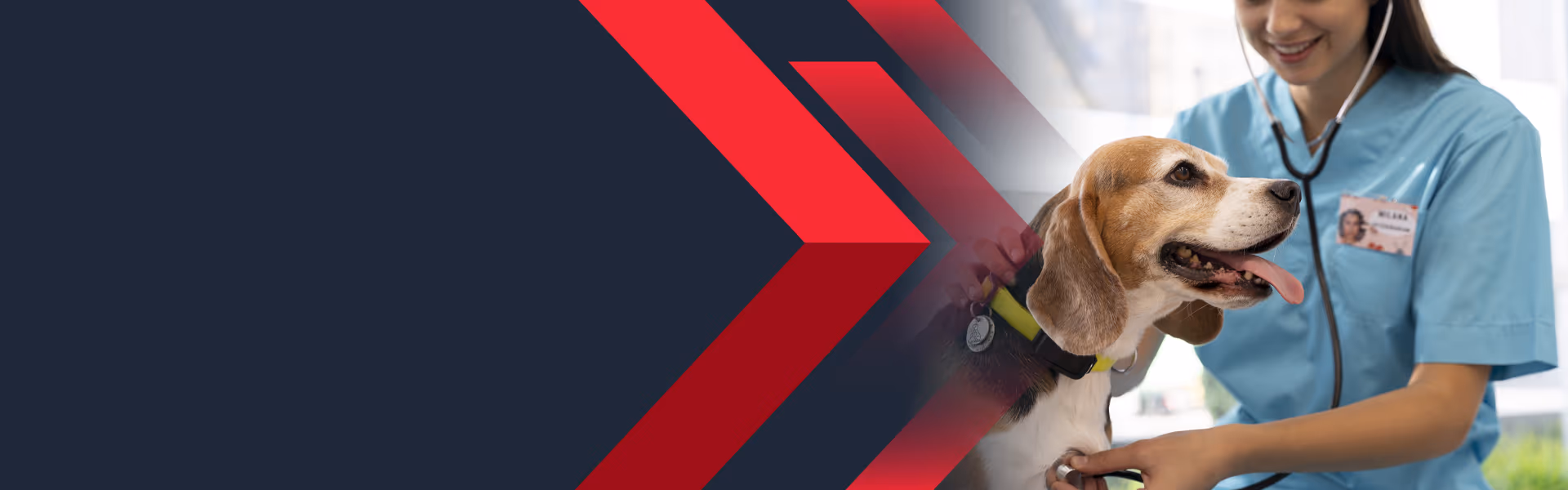 Banner 2