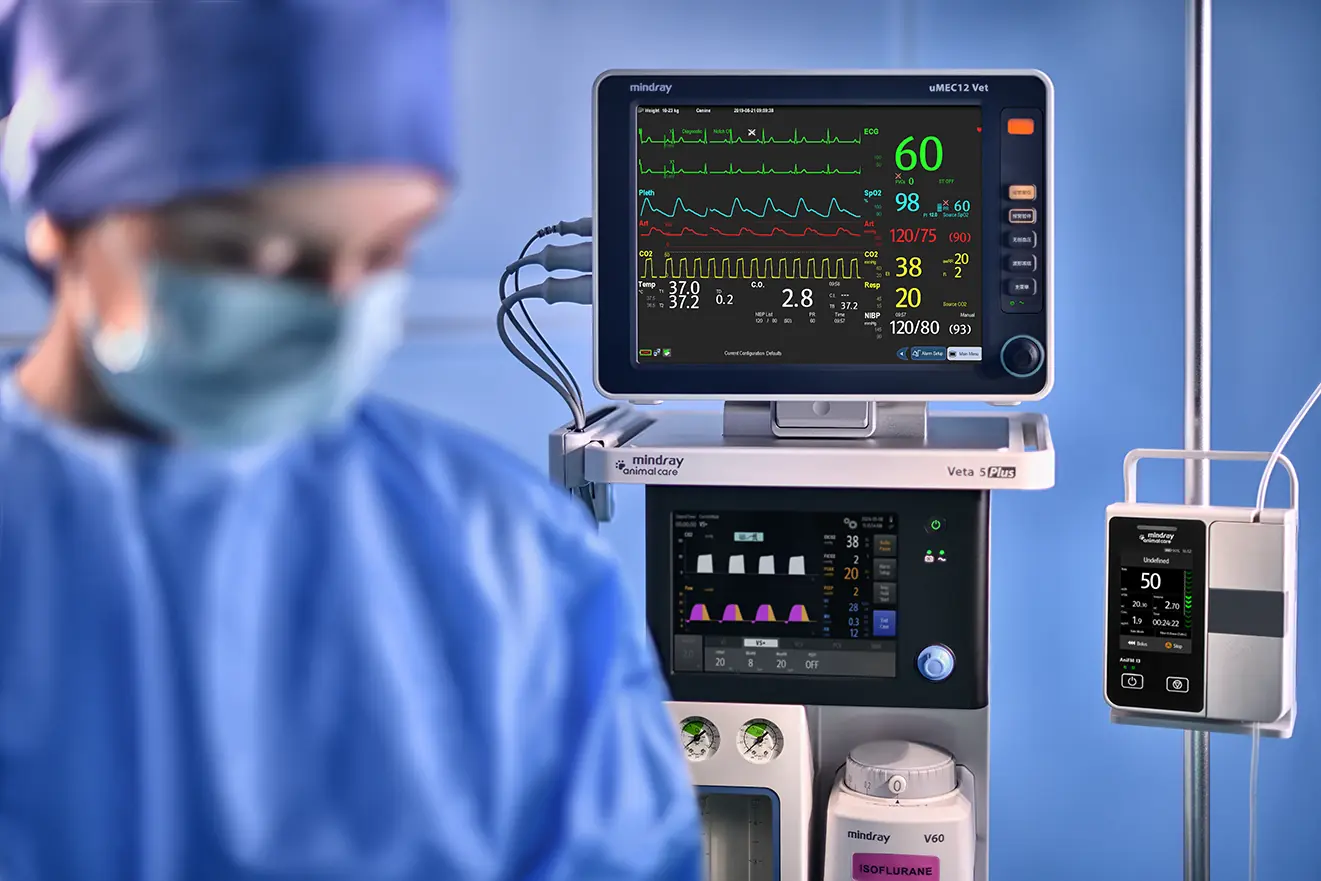 Geliştirilmiş Güvenlik İçin Yenilikçi Kullanılabilirlik