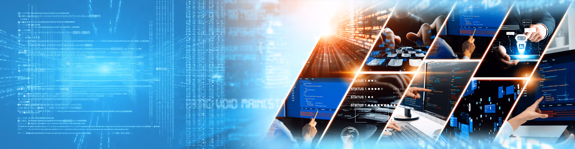 E-vet Software